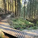 Czarna Gora Livigno *